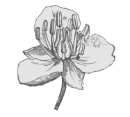 img21.gif
