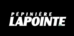 pepiniere_lapointe